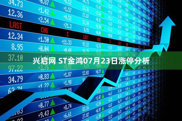 兴启网 ST金鸿07月23日涨停分析